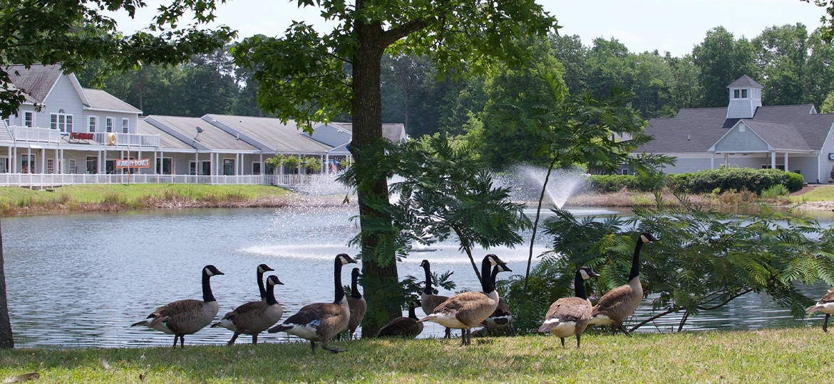 Whitehead Law legal team in Ocean Pines, MD. 